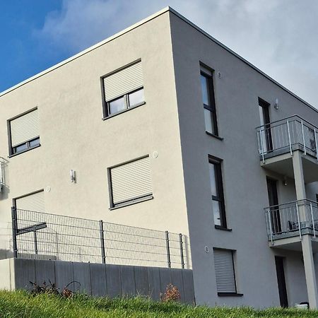 Apartments Seibel Doppel-Zweibettzimmer Mit Bad Reutlingen Exteriör bild